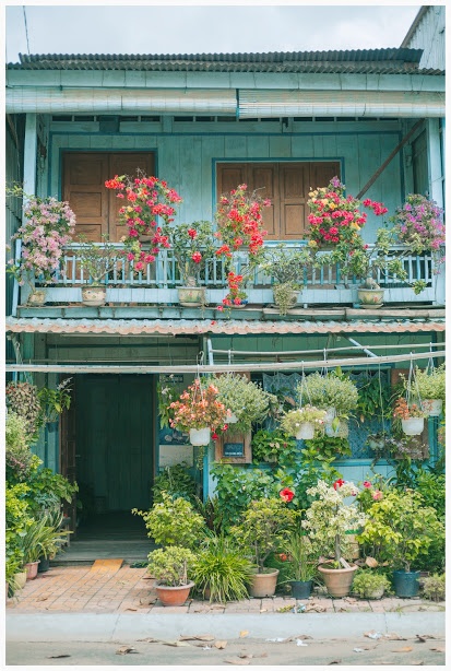 ngoi nha o An Giang anh 2