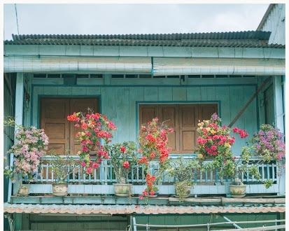 Ngam ngoi nha nho tai An Giang duoc xuyt xoa 'dep nhu tranh' hinh anh