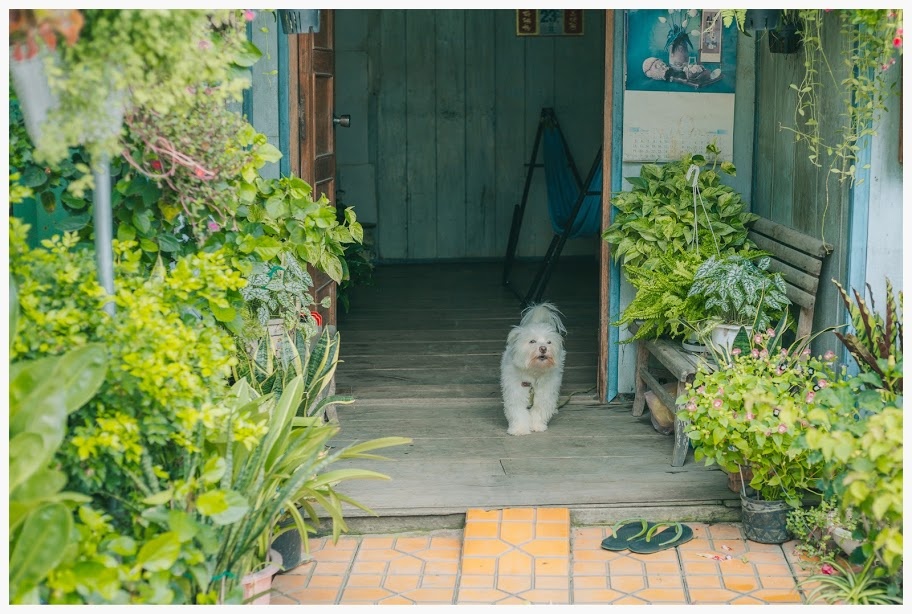 ngoi nha o An Giang anh 5