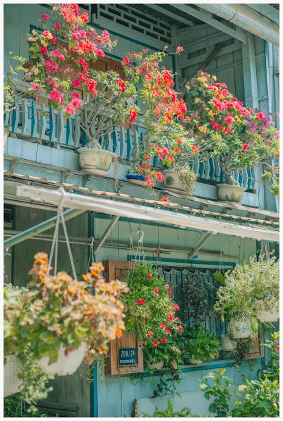 ngoi nha o An Giang anh 9