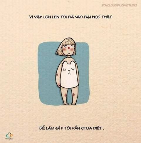 anh che do dai hoc anh 6