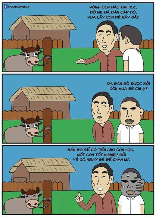 anh che do dai hoc anh 8