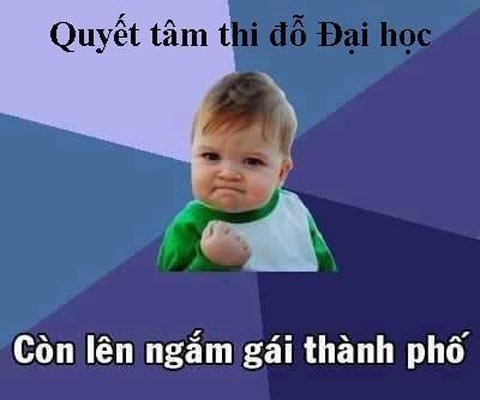 anh che do dai hoc anh 7