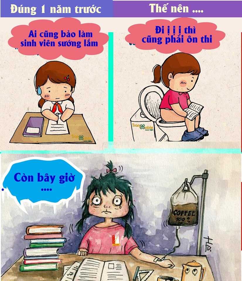 anh che do dai hoc anh 4