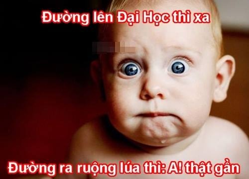 anh che do dai hoc anh 9