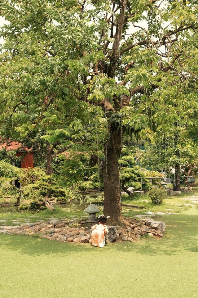 dien hi cong luoc phien ban nhi anh 10