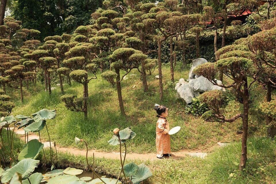 dien hi cong luoc phien ban nhi anh 3