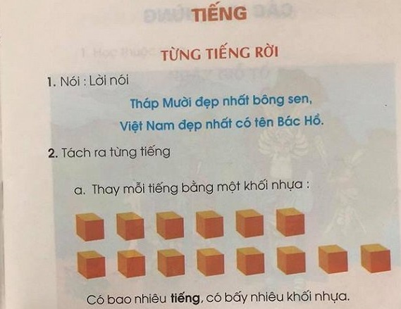 'Chi trich GS Ho Ngoc Dai qua cach doc vuong, tron la khong dung' hinh anh