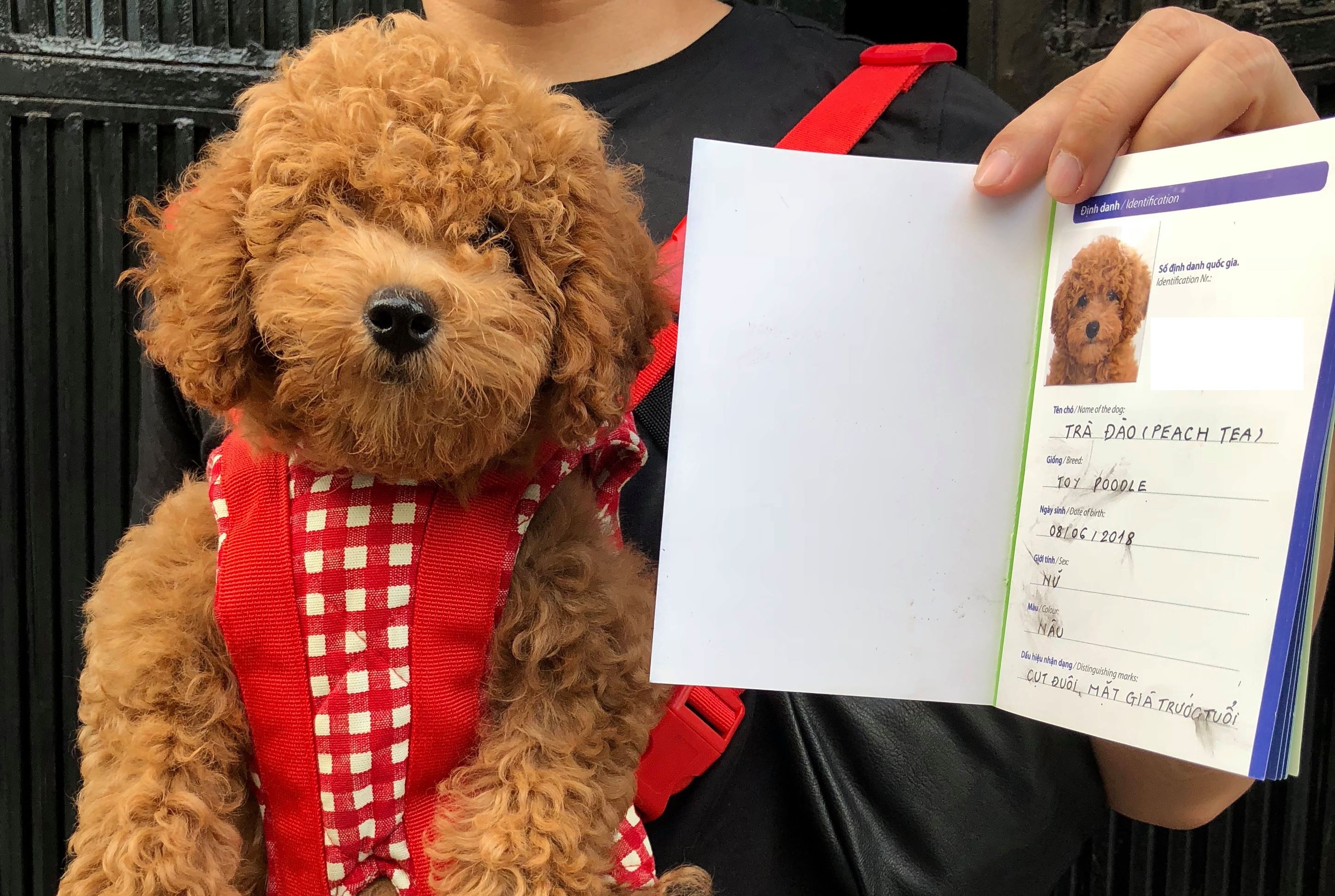 9X 'do khoc do cuoi' khi lan dau dua cho di lam giay khai sinh hinh anh