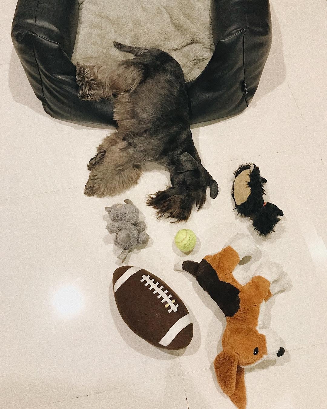 trao luu nga sap mat anh 11