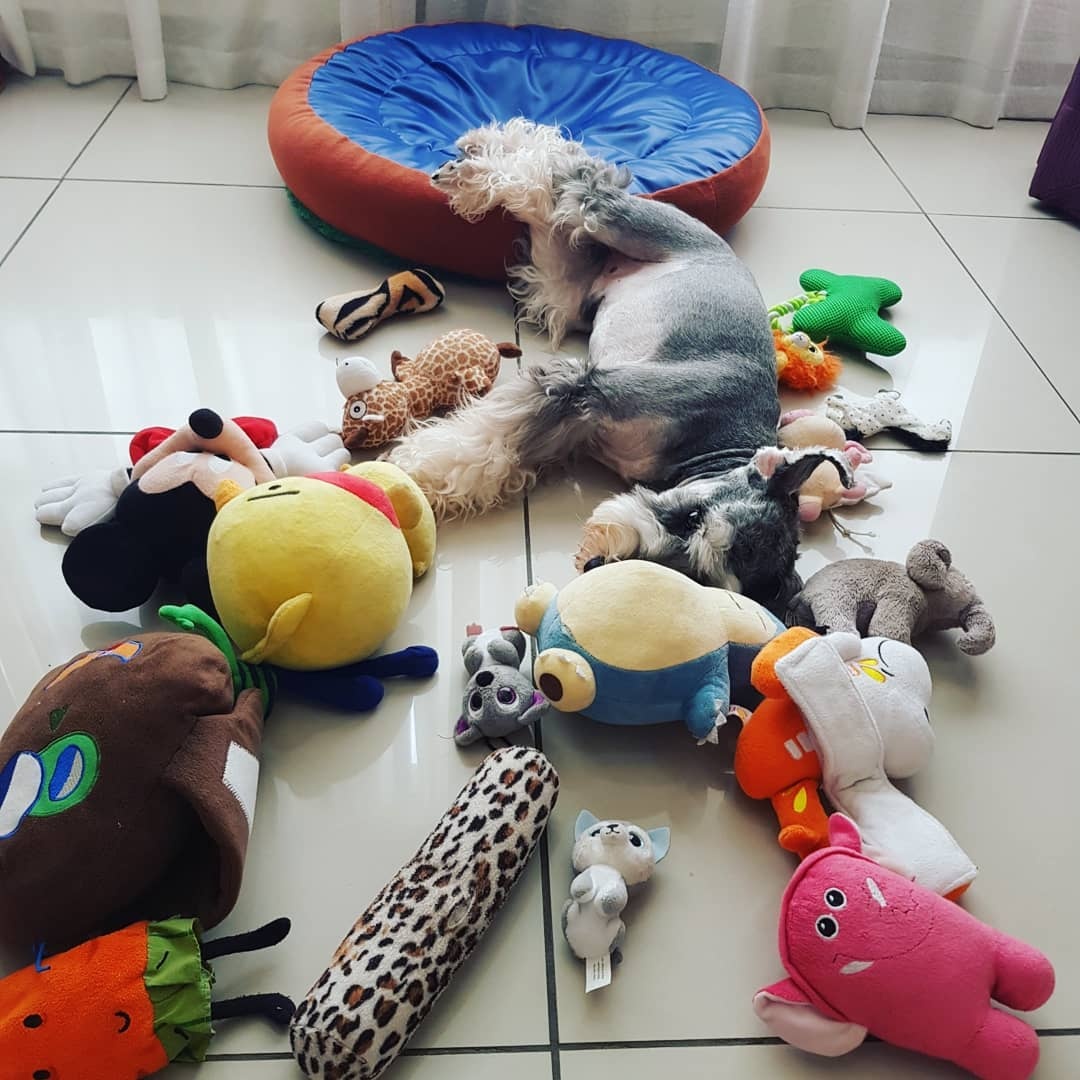 trao luu nga sap mat anh 12