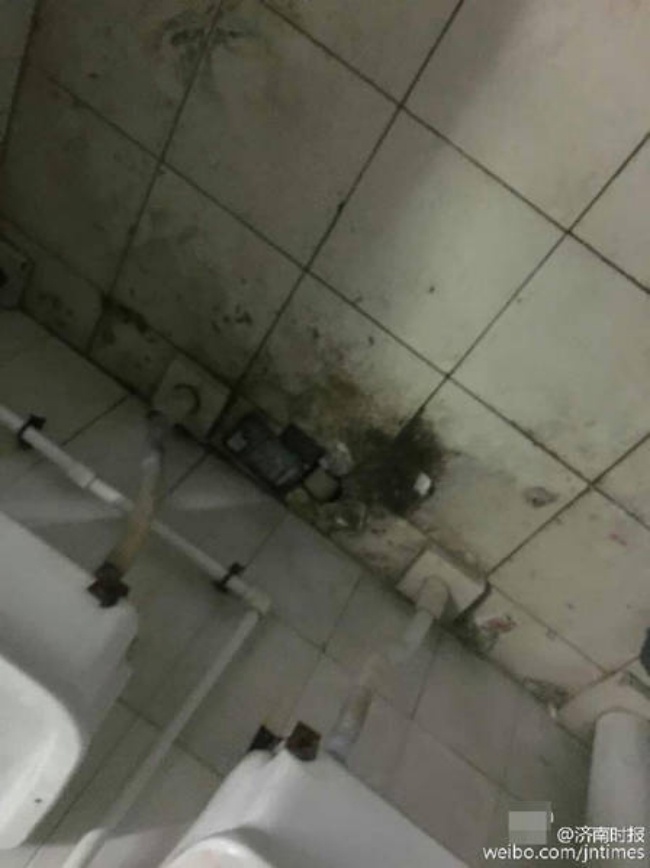 nhung ky tuc xa o chuot anh 10