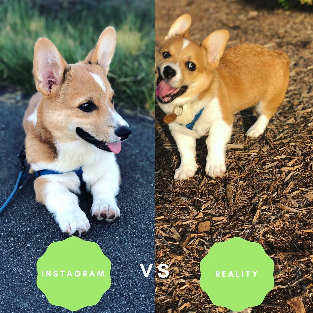 su khac nhau giua instagram va thuc te anh 5