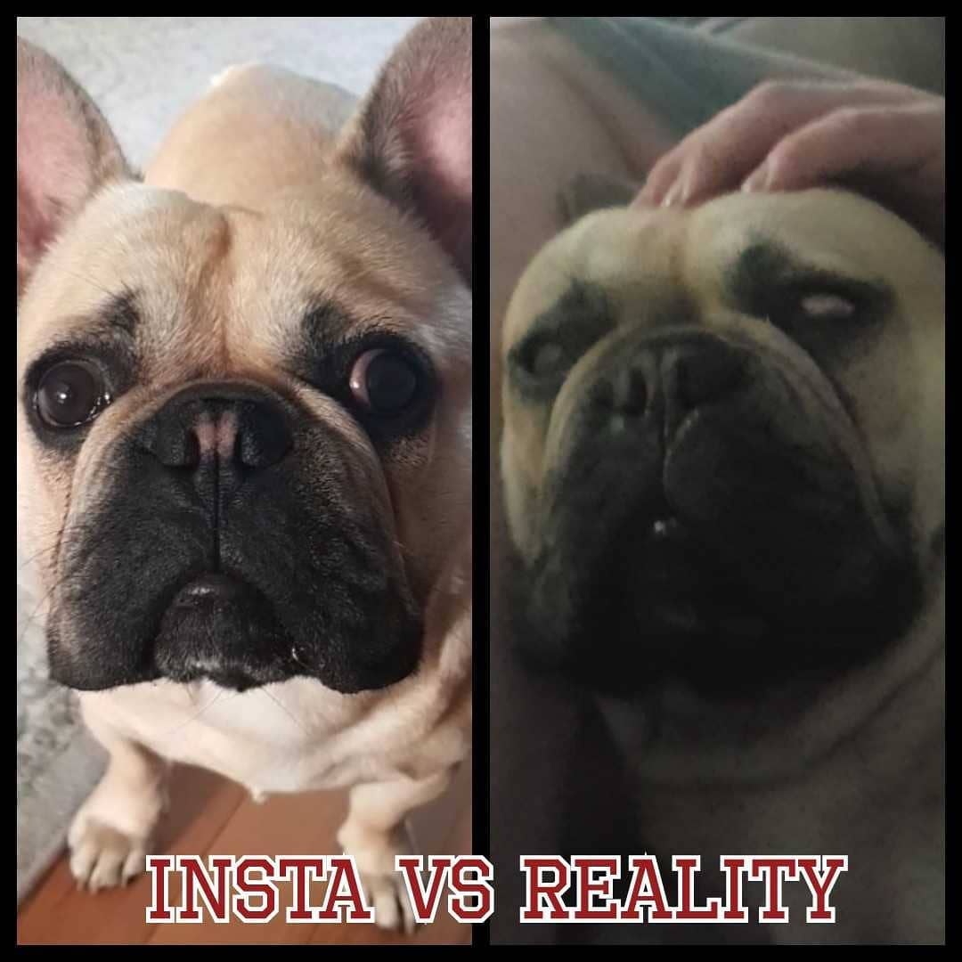 su khac nhau giua instagram va thuc te anh 6