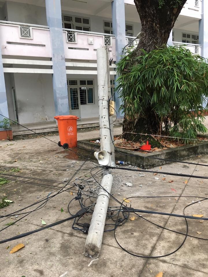 hoc sinh mam non Sai Gon nghi hoc anh 2