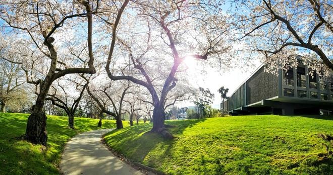 Du hoc New Zealand anh 9