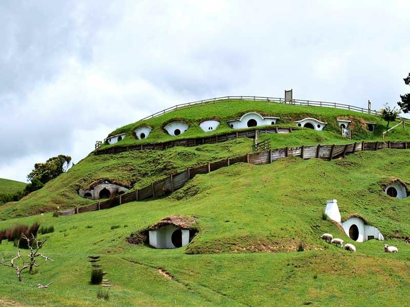 học làm phim ở New Zealand ảnh 1 hoc lam phim o New Zealand anh 1