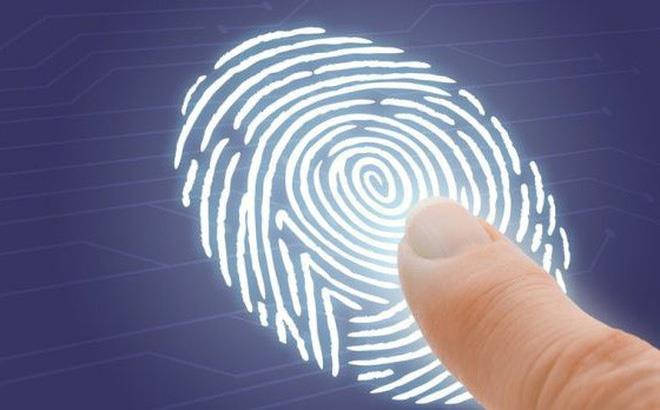 Tai sao van tay chung ta khong trung nhau? hinh anh