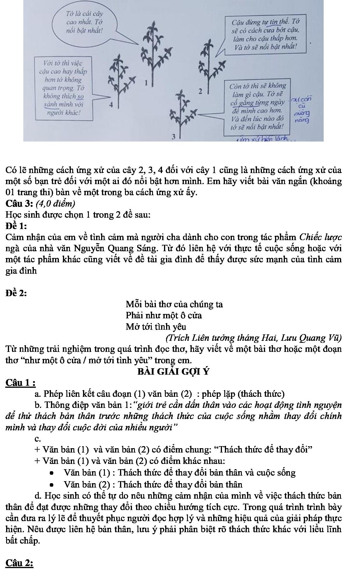 dap an mon Van thi vao 10 Sai Gon anh 2