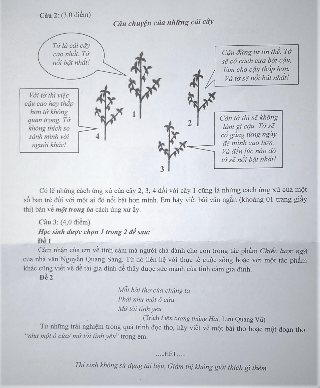 de thi Van lop 10 Sai Gon anh 2