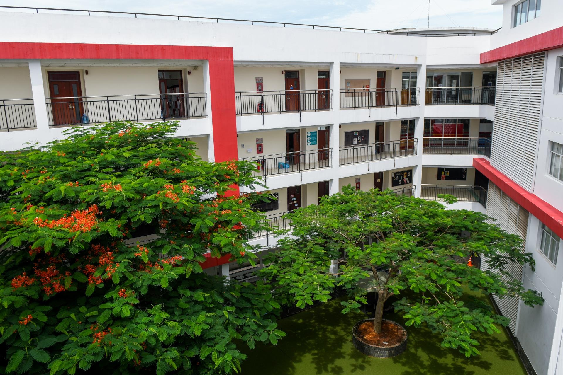 truong quoc te tai Viet Nam anh 11