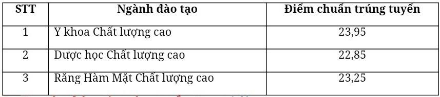 Khoa Y - DH Quoc gia TP.HCM cong bo diem chuan anh 1