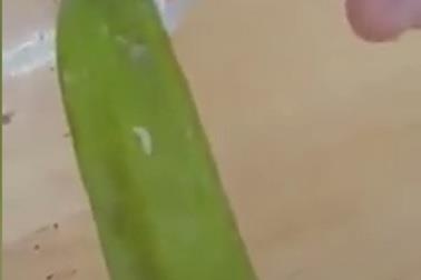 Phat hien com trong can tin ky tuc xa co doi hinh anh