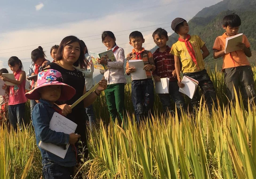 Hoc sinh ra dong ruong hoc lam van hinh anh