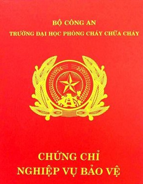 Chung chi nghiep vu anh 1