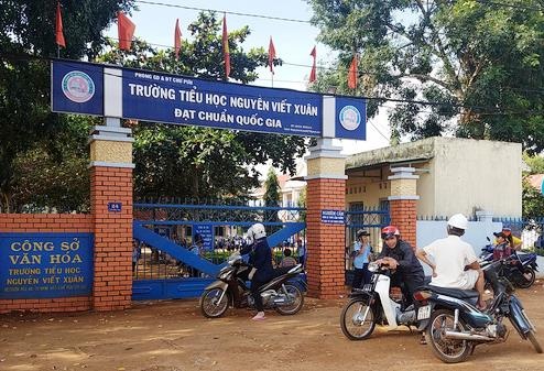 Thanh tra dot xuat vu hieu truong bi to lam thu, doc doan hinh anh