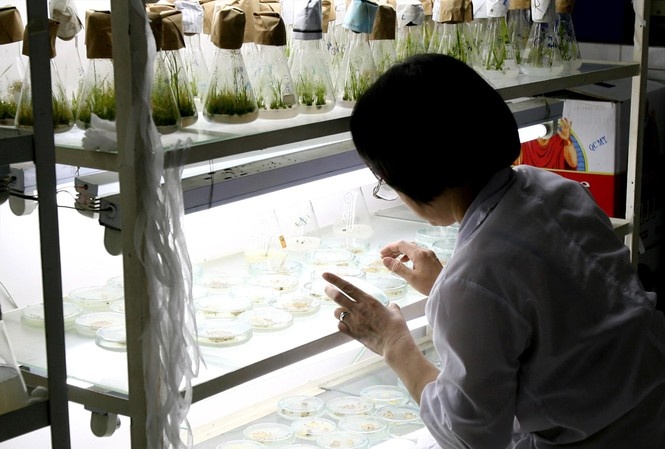 Dac cach cho nha khoa hoc xuat sac hinh anh