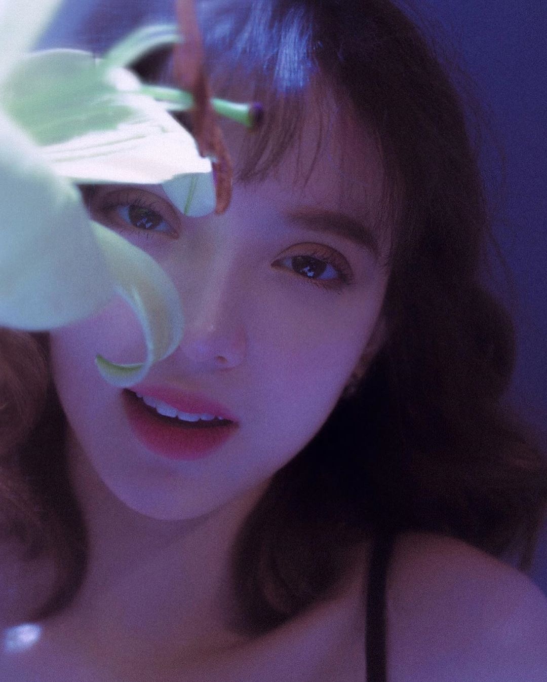 co gai lai Viet - Ha Lan anh 3