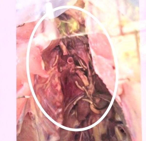 com hoc sinh co doi anh 1