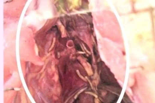 Phu huynh lo lang khi phat hien 'thit ga co gioi' trong com hoc sinh hinh anh