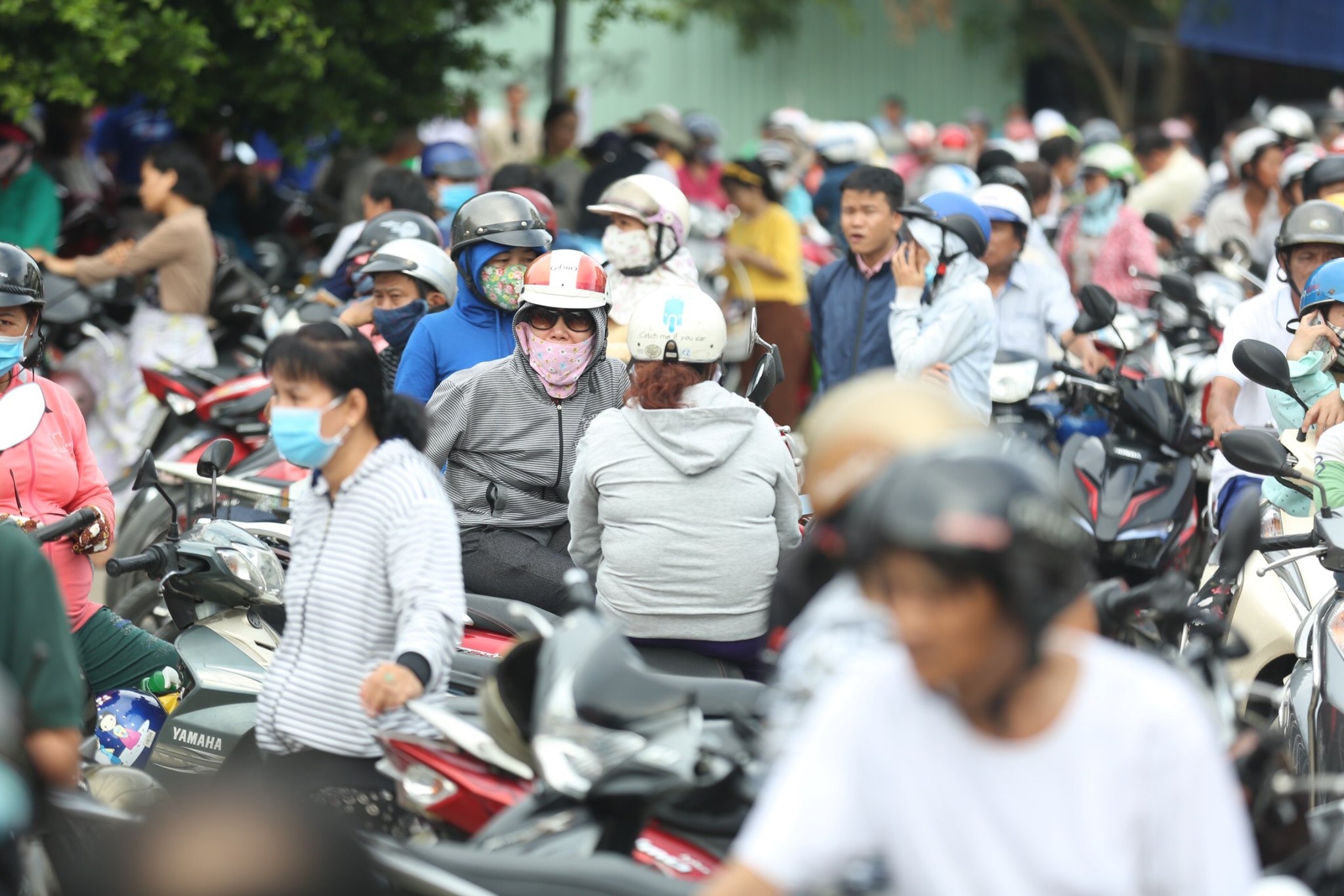 thi dai hoc 2020 anh 1