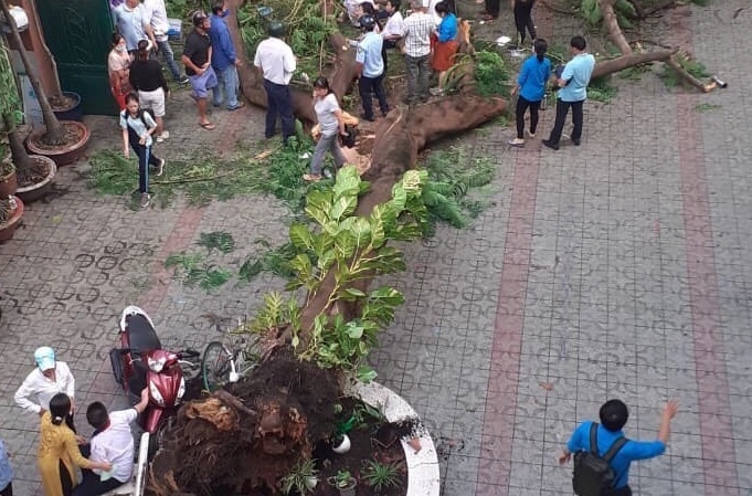 Bo truong GD&DT chia buon voi gia dinh co hoc sinh tu vong vi cay do hinh anh