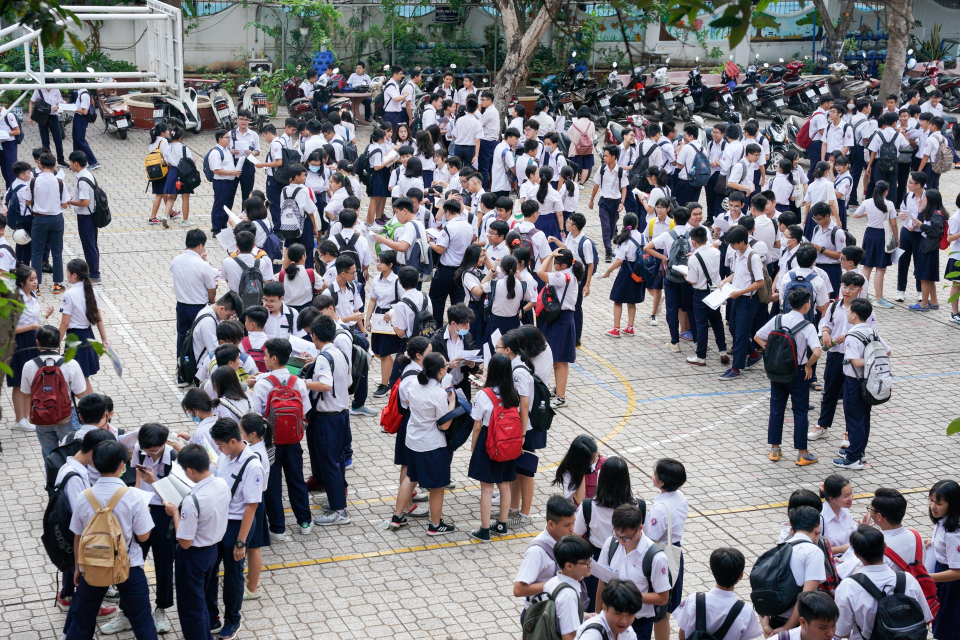 thi vao lop 10 TP.HCM anh 1