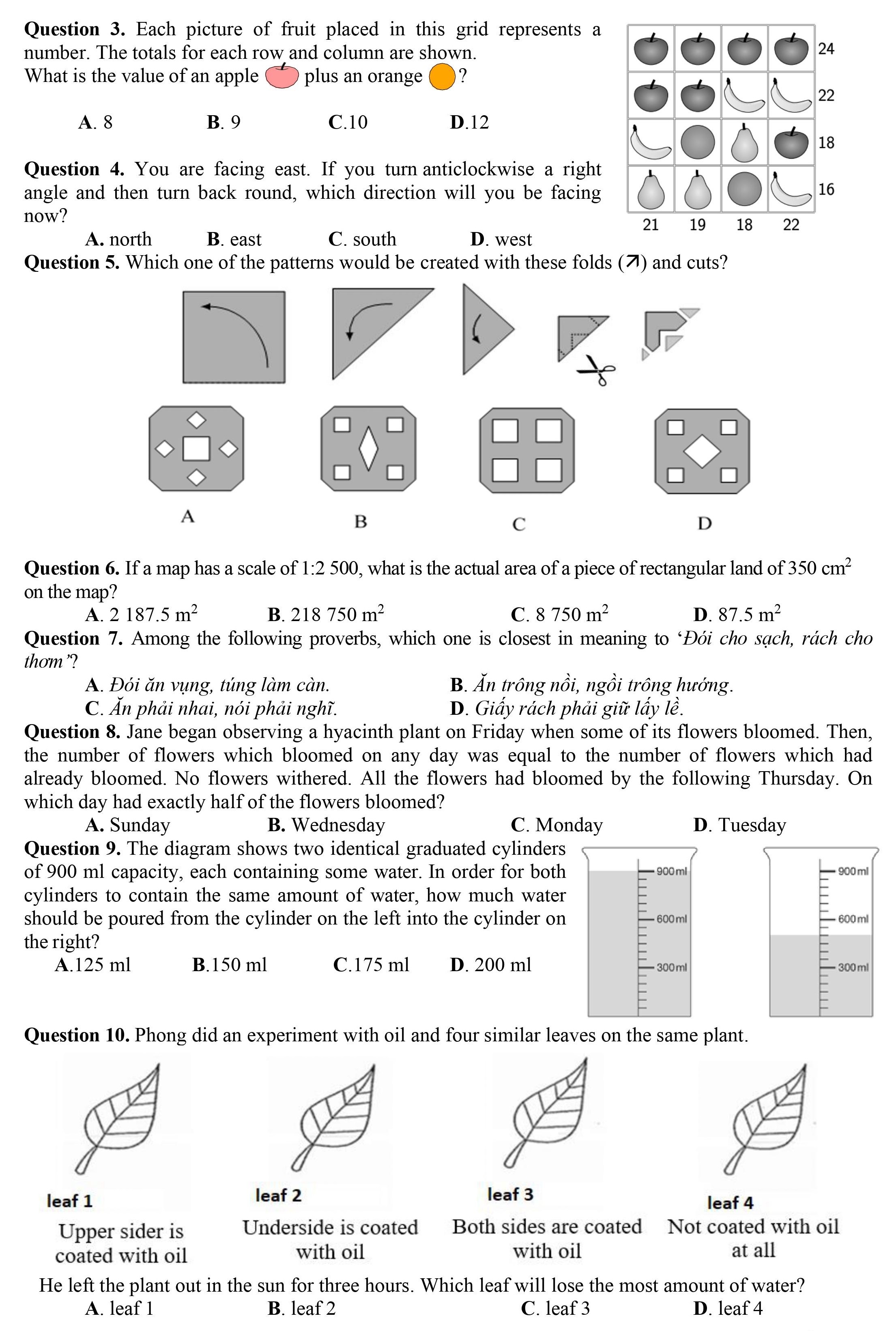 de thi lop 6 tran dai nghia anh 5