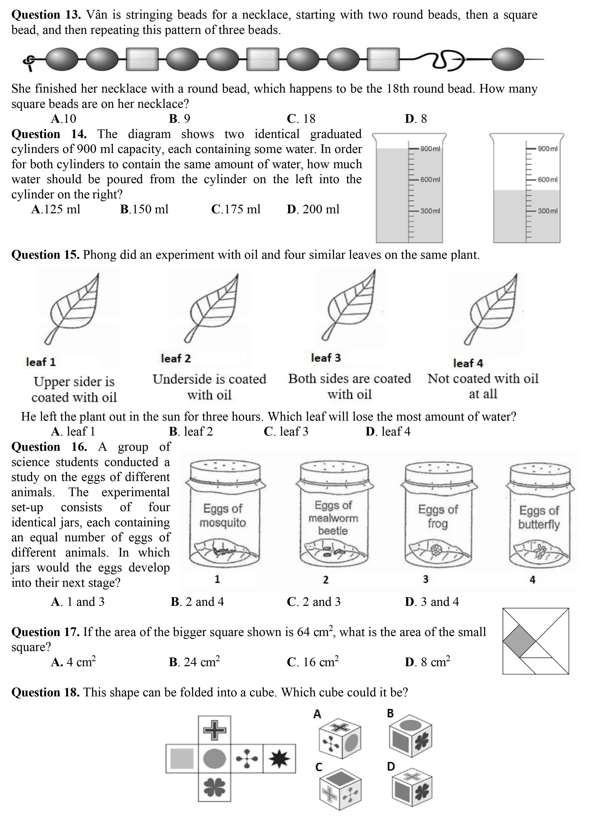 de thi lop 6 tran dai nghia anh 10