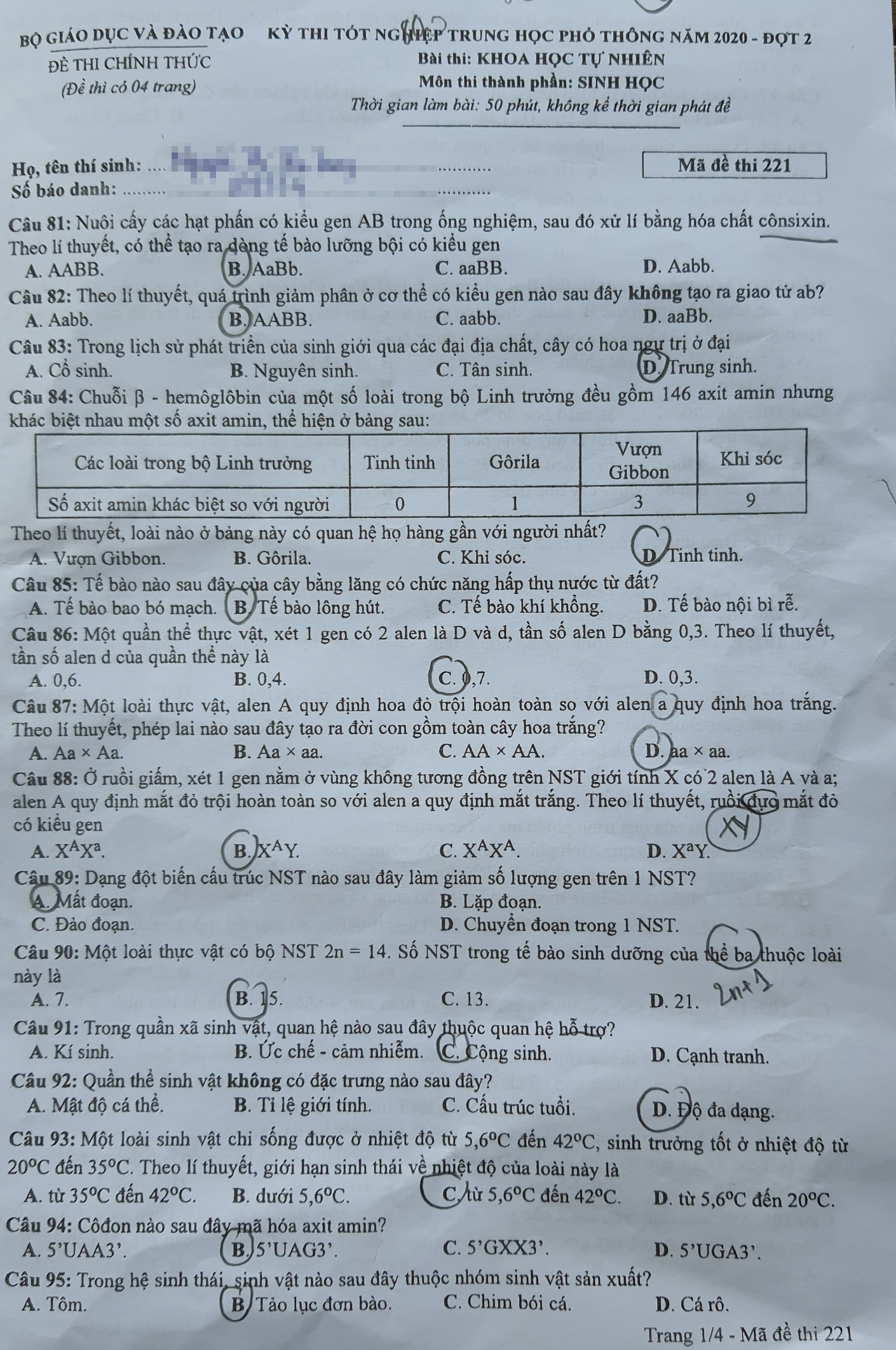 de thi tot nghiep dot 2 anh 1