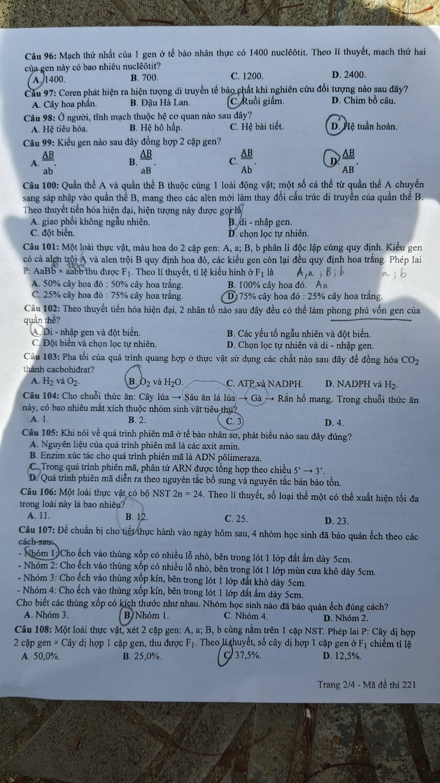 de thi tot nghiep dot 2 anh 2