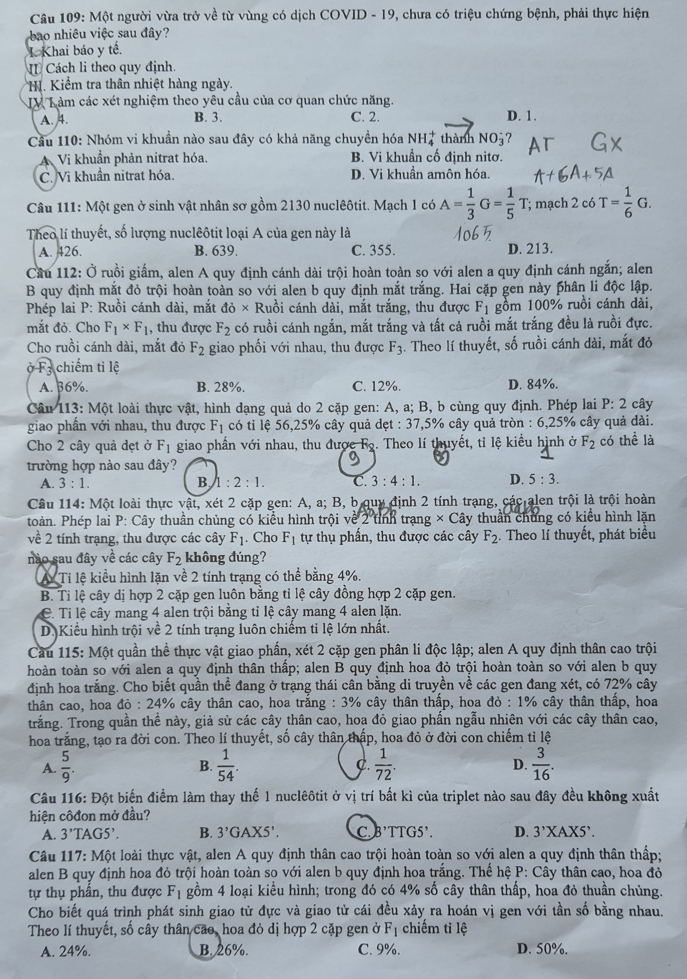 de thi tot nghiep dot 2 anh 3