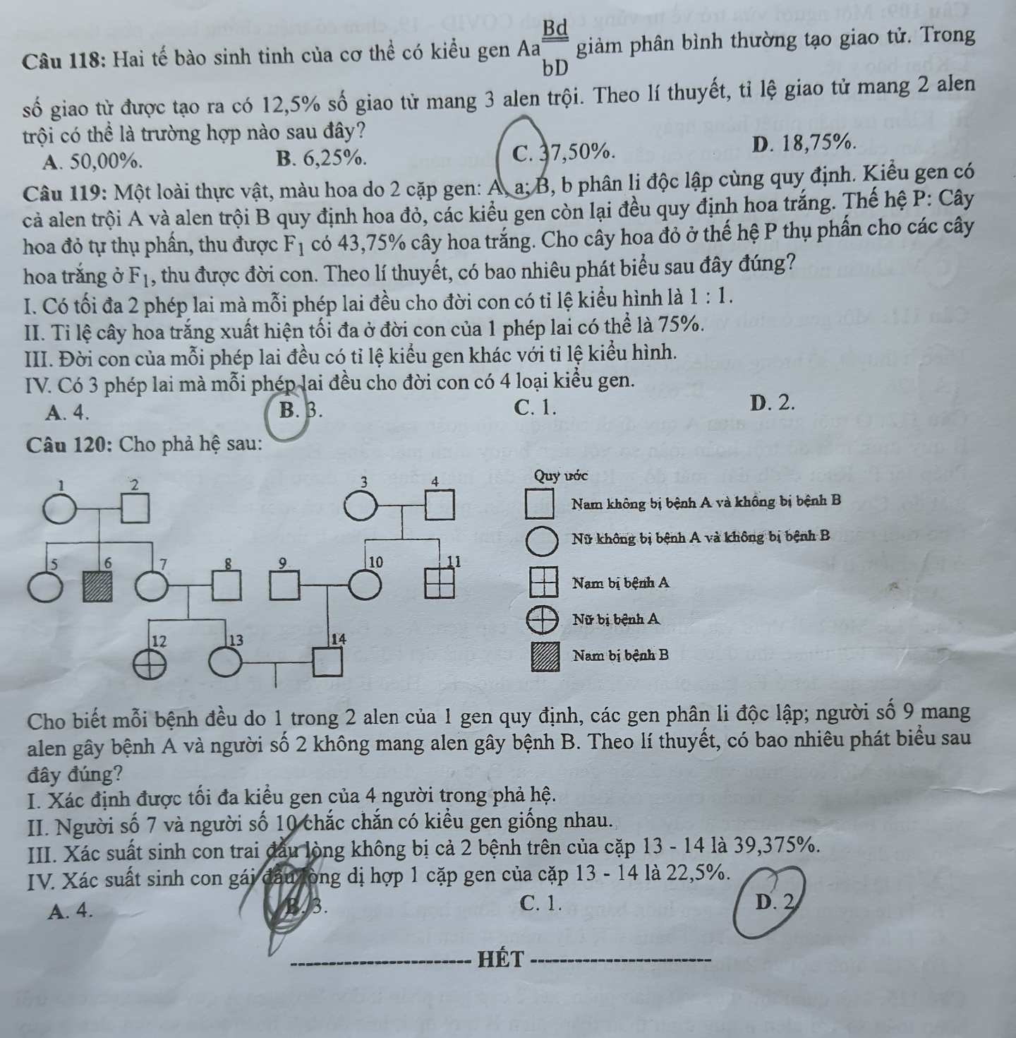 de thi tot nghiep dot 2 anh 4