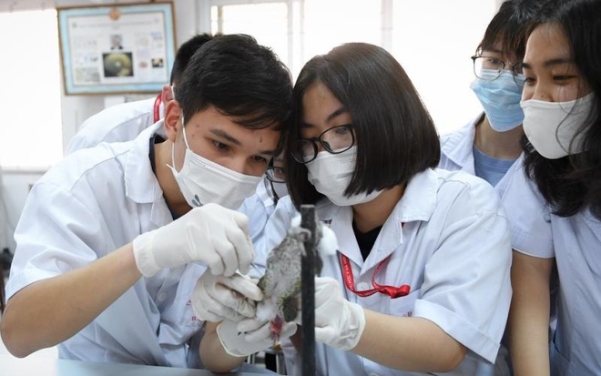 Diem san cao nhat cua DH Y khoa Pham Ngoc Thach la 24 hinh anh