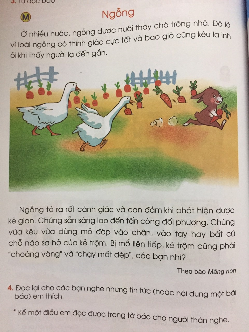 sach tieng viet lop 1 anh 5