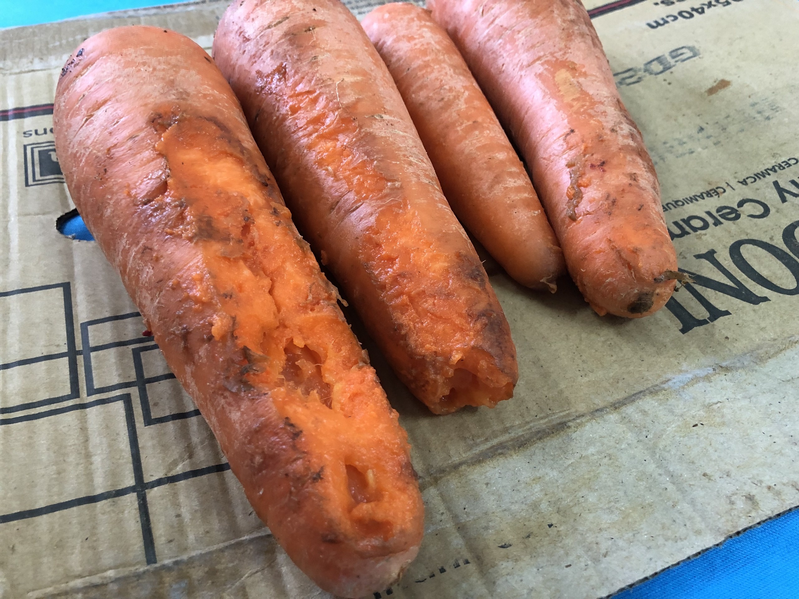 bua an truong tieu hoc Tran Thi Buoi anh 2