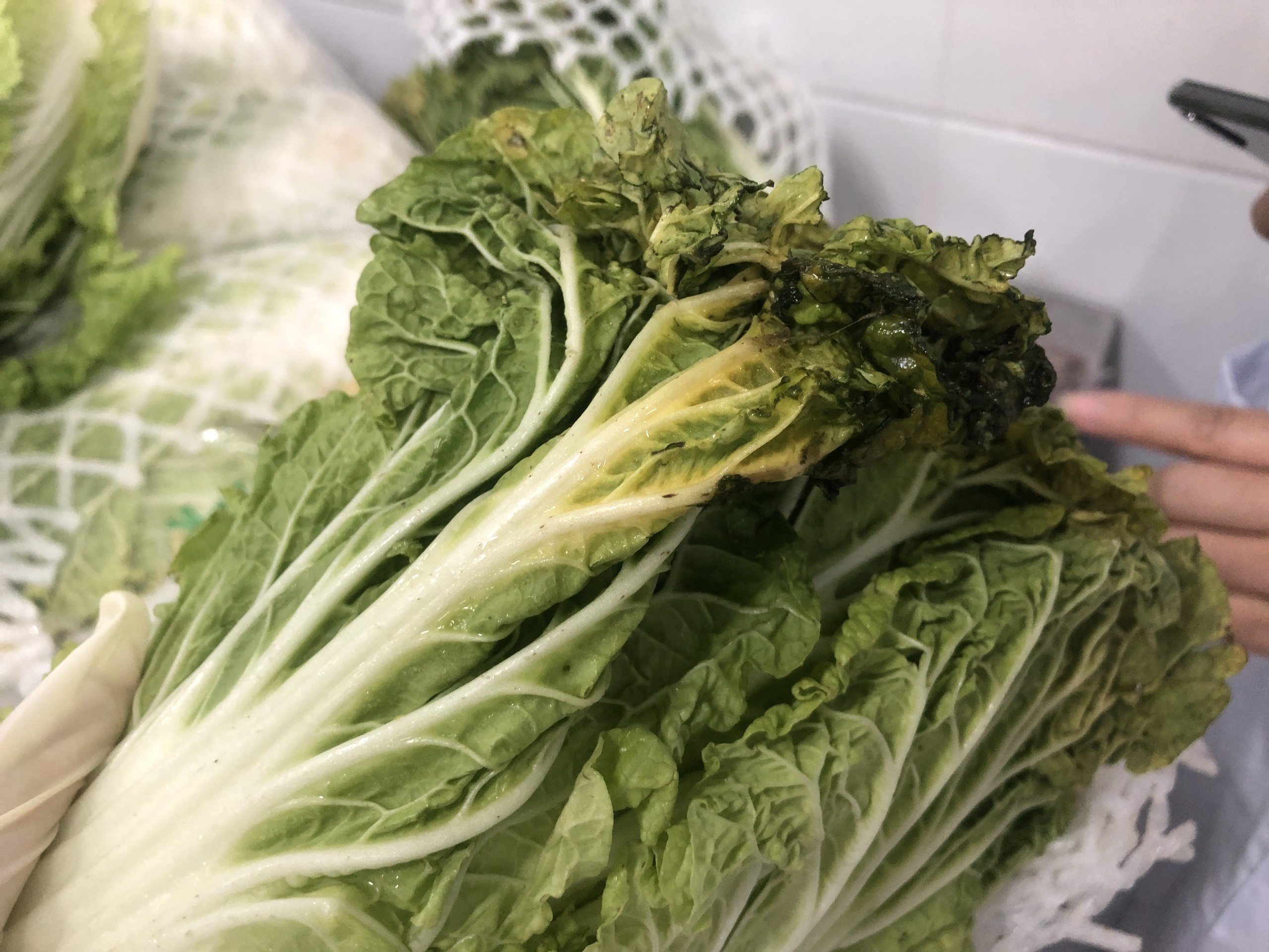 bữa ăn trường tiểu học Trần Thị Bưởi ảnh 3 bua an truong tieu hoc Tran Thi Buoi anh 3