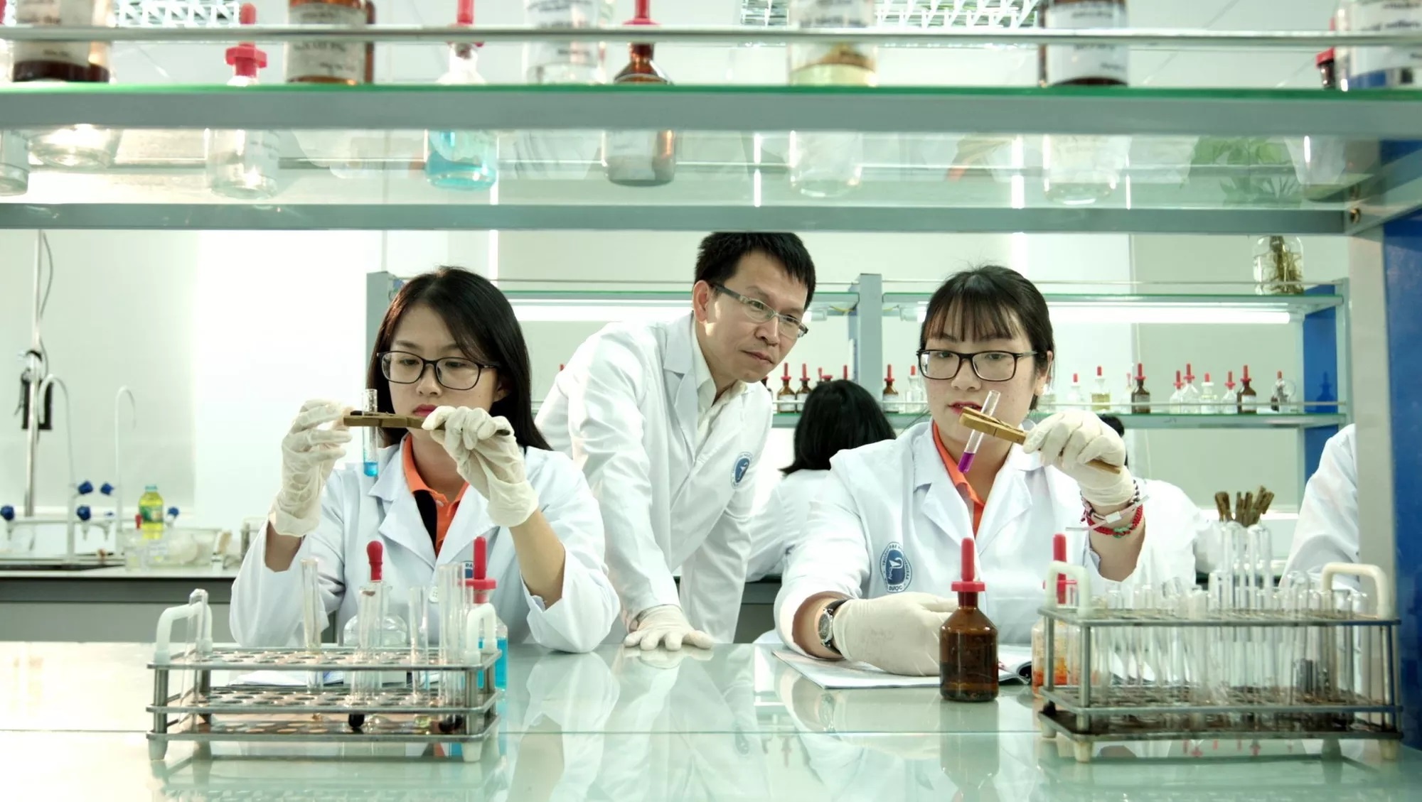 chu so huu truong tu thuc anh 2