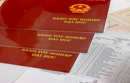 ‘Van bang 2 tieng Anh khong nen co gia tri suot doi’ hinh anh