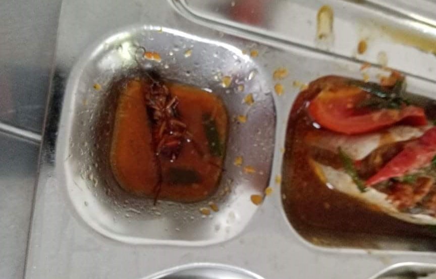 suat an tai truong co gian anh 1